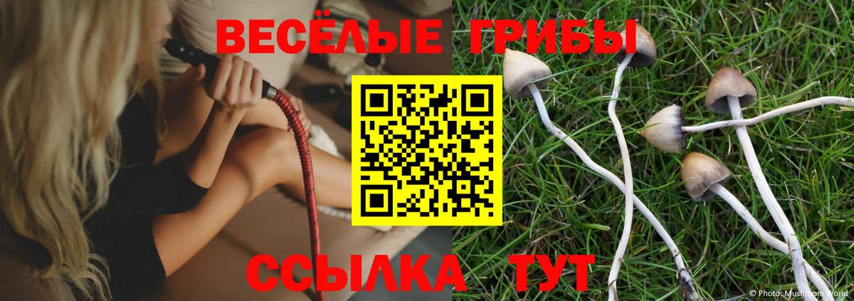 Галлюциногенные грибы ЛСД  Псилоцибиновые грибы ЛСД  Вход с VPN  где купить наркоту  Морозовск 